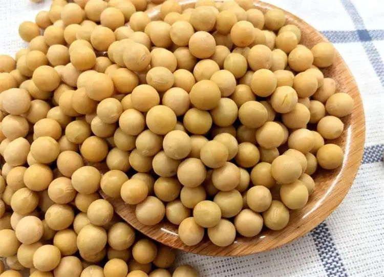 เครื่องบด 45 กิโลกรัม/ชั่วโมงความจุถั่วเหลืองต้มเครื่อง