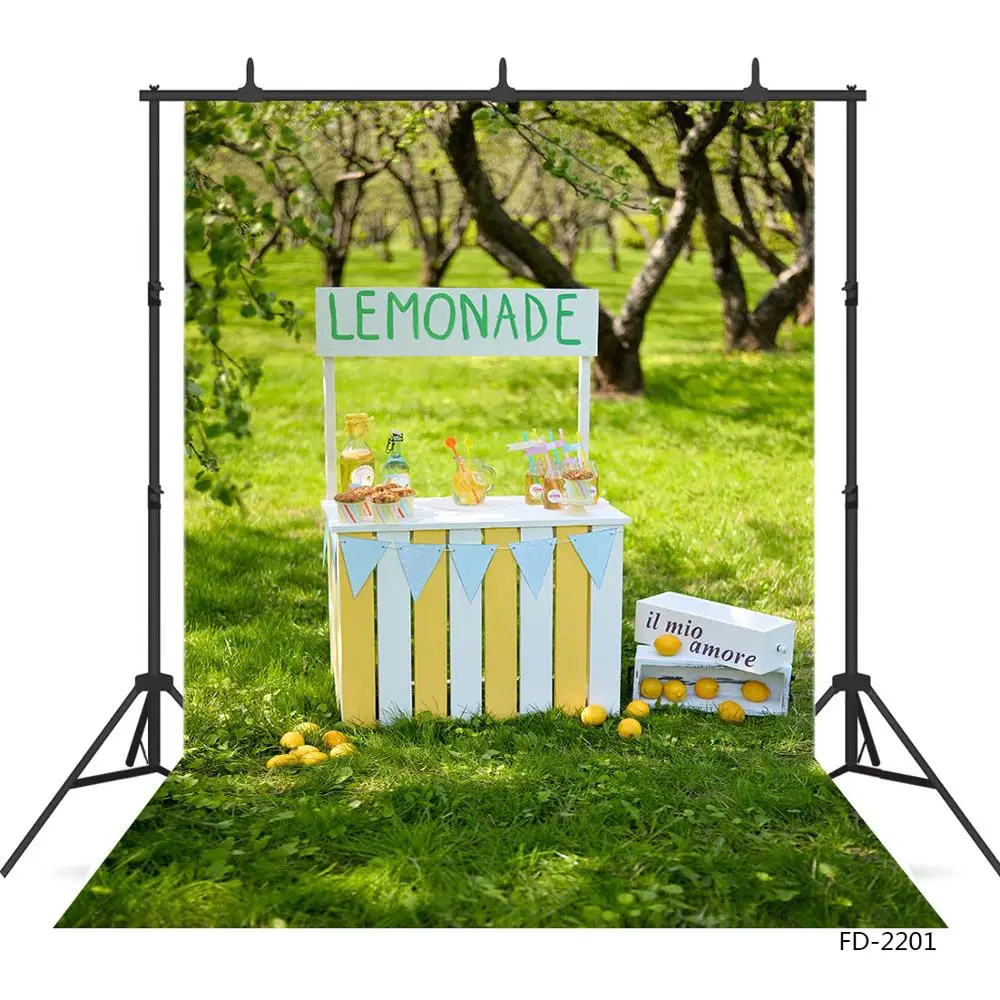 Lemonade Stand Grassland Sunshine Background For Baby Shower Children Birthday Portrait Photography Backdrops Photo Studio Props