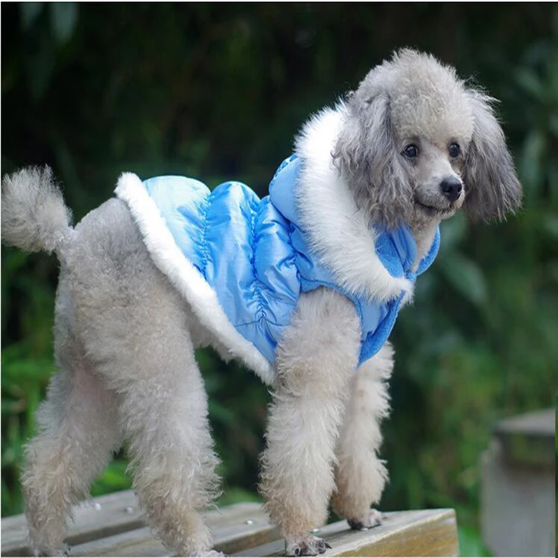 New Style Pet Jacket Cute Dog Winter Coat Winter Warm Clothes Pet Clothing Dog Down Coat Pet Hooded Dog Hoodies Supply