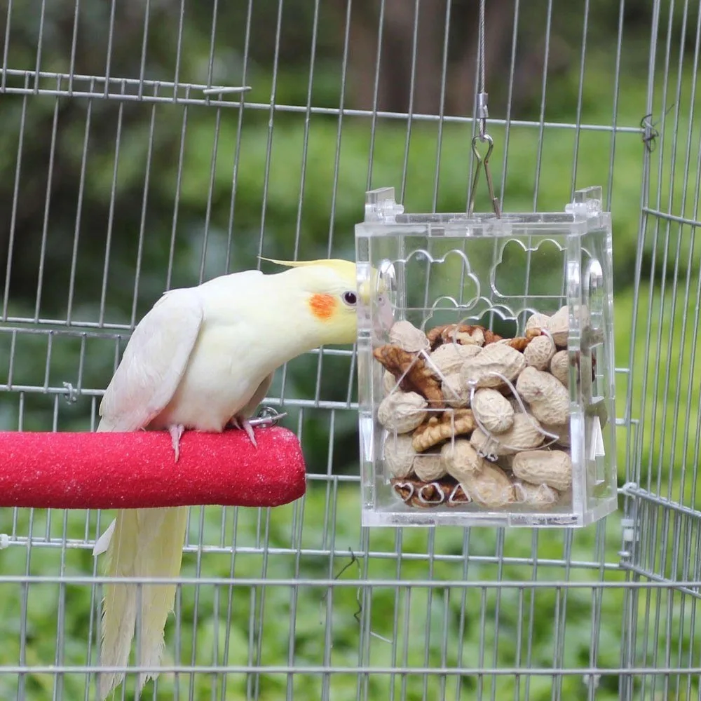 Divertente acrilico trasparente uccello pappagallo appeso foraggiamento alimentatore scatola di alimentazione giocattolo educativo per pappagalli parrocchetti cacatua