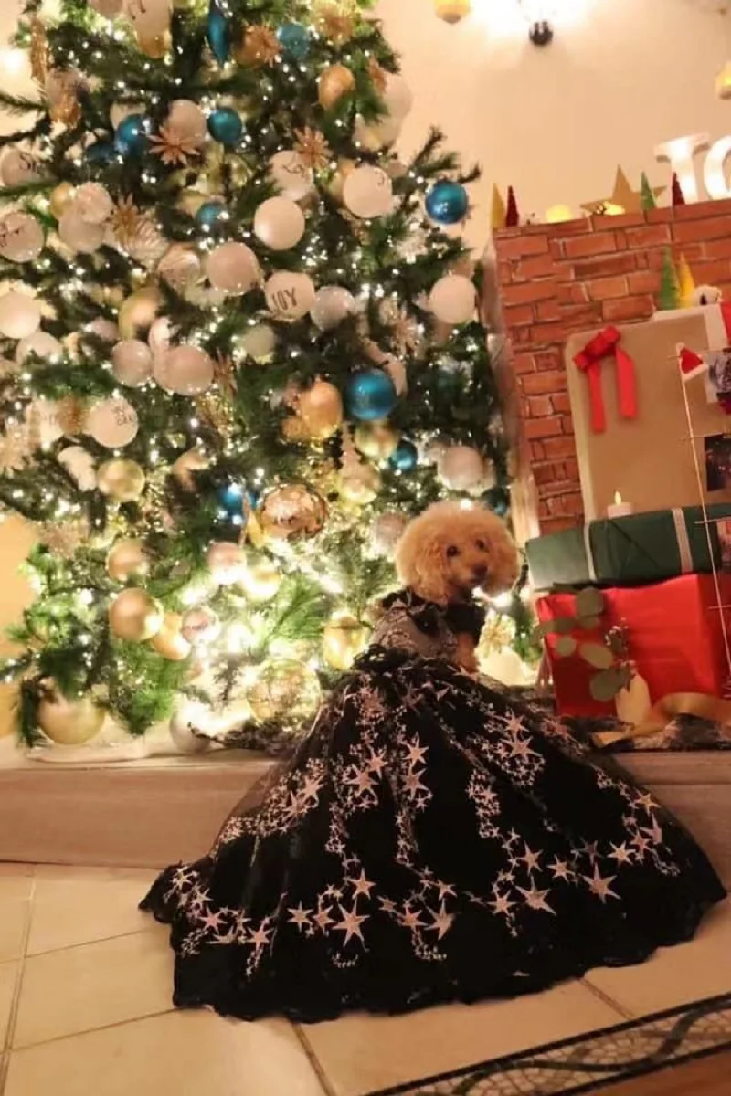 Handmade Dog Clothes Pet Princess Dress Luxury Trailing Gown Classic Black Silver Shinny Stars Accessories Tulle Skirt One Piece