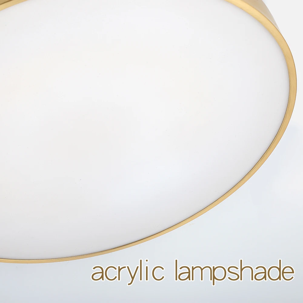 Simple LED Ceiling Lamp Decorative LED Ceiling Lamps for Living Room Bedroom Interior Lighting Gold Dimmable Ceiling Lights