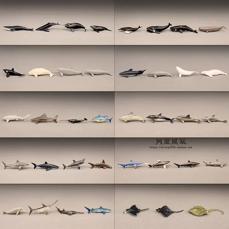 Miniature Sea World Fishes Model Great White Shark Blue Whale Dolphin Oceans Animals Figurines Decoration Fish Tank Accessories