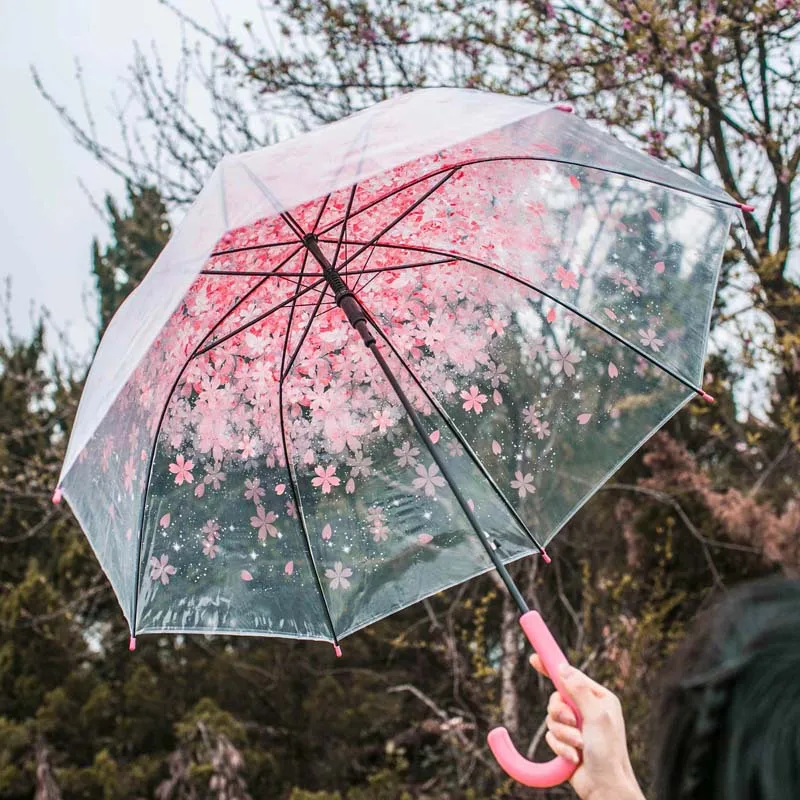 Apollo Princess Romantic Sakura Umbrella Transparent Umbrella EVA Women Rain Sun Umbrella Long Handle Straight Stick Umbrella