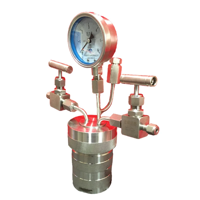 100ML Gas Connection Type Hydrothermal Synthesis Reactor Hydrogenation EPF-100ML stainless steel reactor