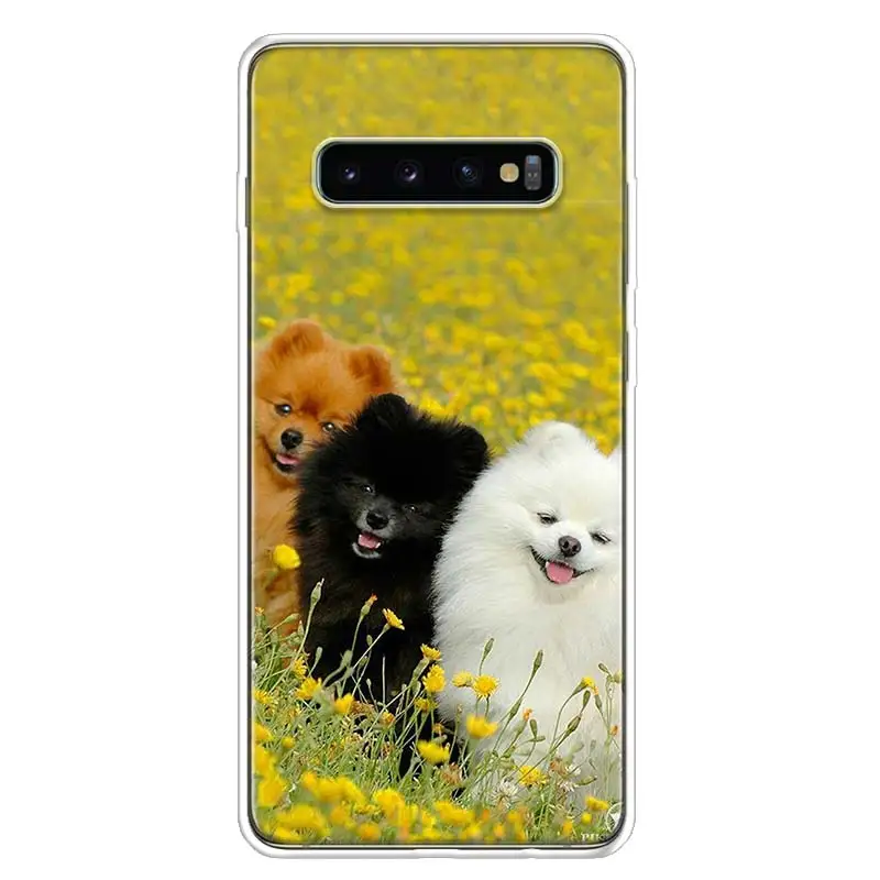 Pomeranian Chó Chó Thiết Kế Ốp Lưng Điện Thoại Samsung Galaxy S22 S21 Cực S10 Plus S20 FE S10E S9 S8 S7 edge J4 + Bìa Mềm Coque