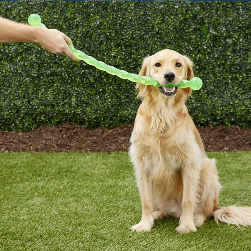 S Size KONG Safestix Dog Toy, Color Varies