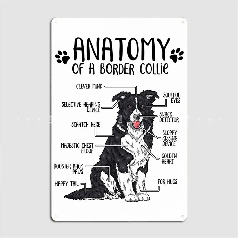 Anatomy Of A Border Collie Metal Plaque Poster Plates Retro Party Wall Pub Tin Sign Posters