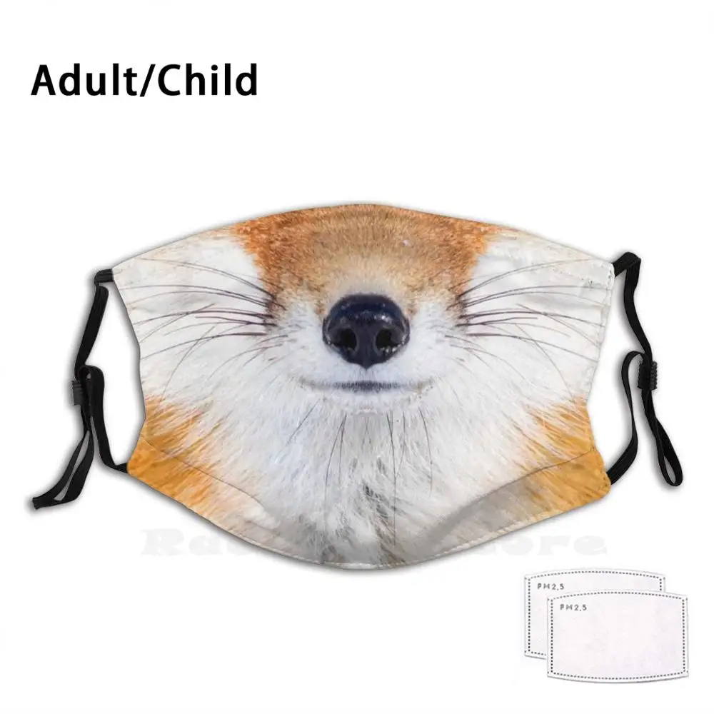 Red Fox Face Print Washable Filter Anti Dust Mouth Mask Red Fox Fox Mom Fox Dad Fox Mama Fox Daddy Animal Funny Creative Face