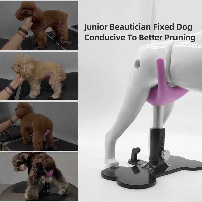 Imagem -05 - Mágica Escada Moti Cão Assistido Suporte de pé Altura Ajustável Pet Grooming Produtos Pequeno Banco Groomer Fixo Assento do Cão