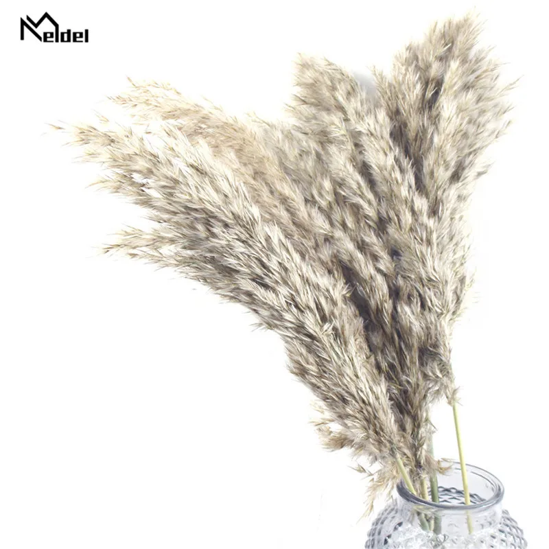 Meldel 7 Pcs Pampas หญ้าแห้งจริงพืชตกแต่งแต่งงานช่อดอกไม้ธรรมชาติ Decor พืชดอกไม้ธรรมชาติพืช