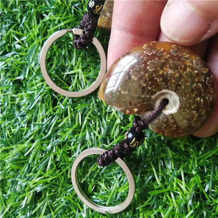 1Pcs Madagascar Spotted Conch Polished Jade Pattern Ammonite  S snail keychain specimen Natural Stones and Minerals