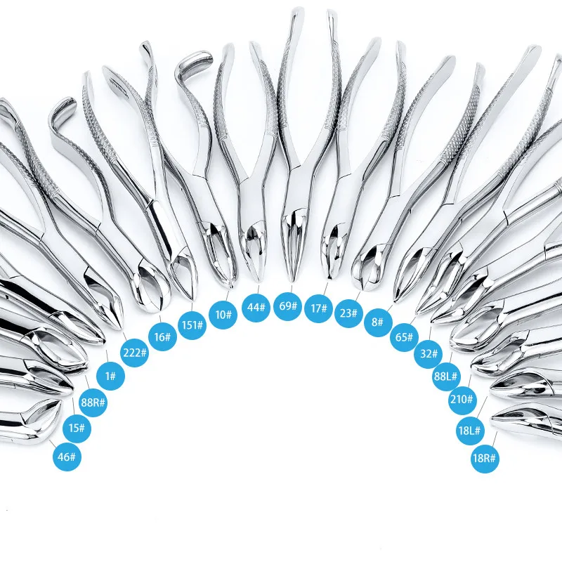 1 sztuk Dental dorosłych zębów ekstrakcja szczypce Forcep zęby ekstrakcja szczypce Forcep chirurgia stomatologiczna narzędzie Instrument