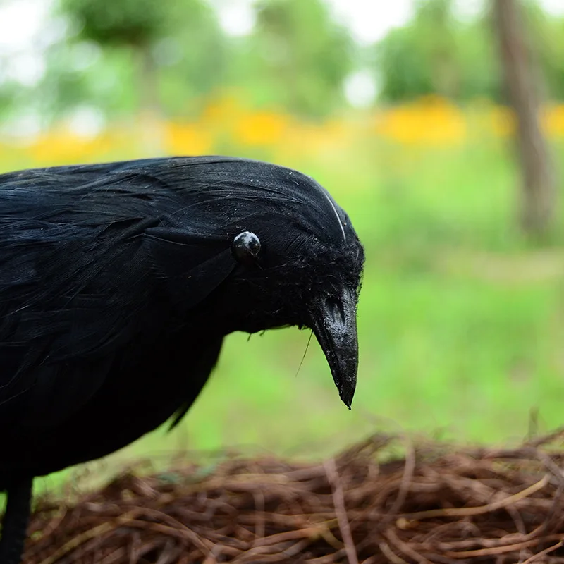 Halloween prop feathers Crow bird large 25x40cm spreading wings Black Crow toy model toy,Performance prop
