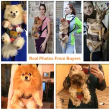 Breathable Dog Carrier Backpack #4