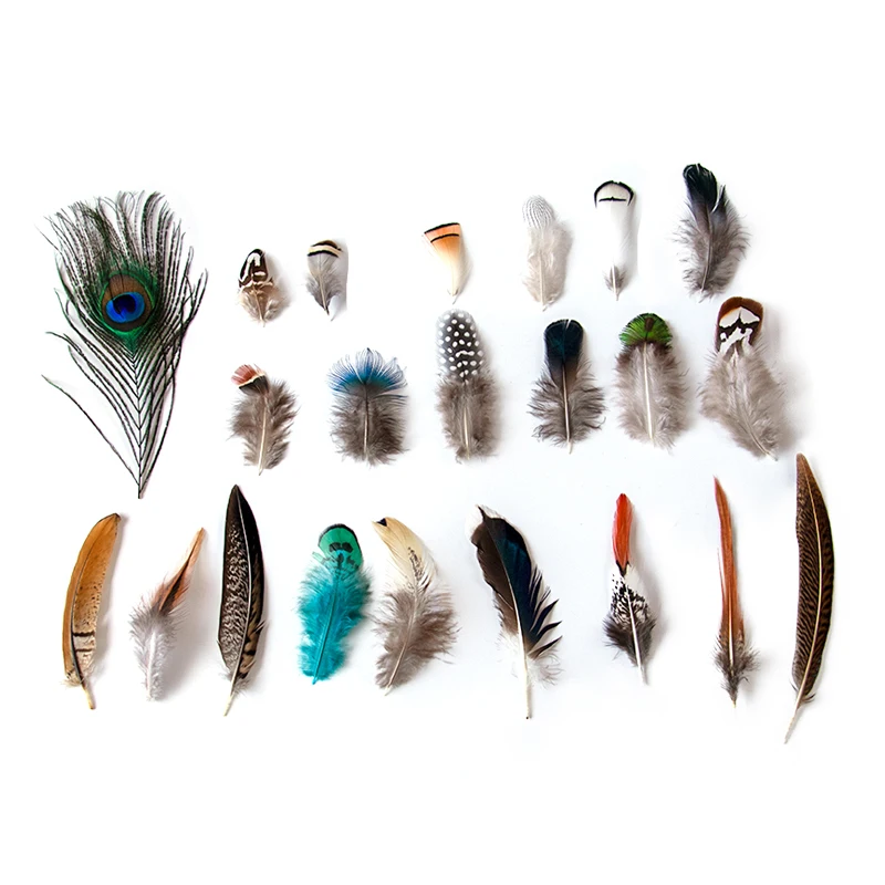 الجملة ريش الدراج الطاووس الطبيعي للحرف اليدوية أعمدة النعام ديكورات منزلية لحفلات الزفاف Plumas بها بنفسك مجوهرات #1