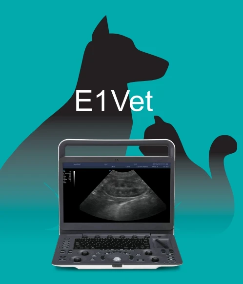 Ecografo veterinarios best price eco vet multiparametro veterinarios medical sonoscape dopler portable veterinary ultrasound