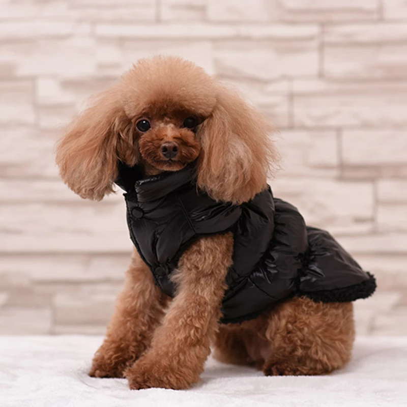 Classis Pet Dog Down Jacket for Small Dogs Winter Cat Dog Clothes for Yorkshire Shih Tzu Coat Puppy Clothing ubranko dla psa