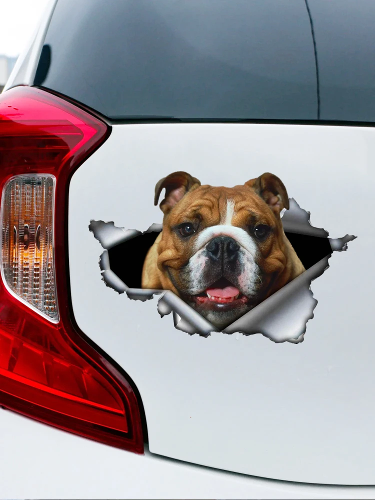 CK20907# Various Sizes Self-adhesive Decal English Bulldog Car Sticker Waterproof Auto Decors on Bumper Rear Window Laptop