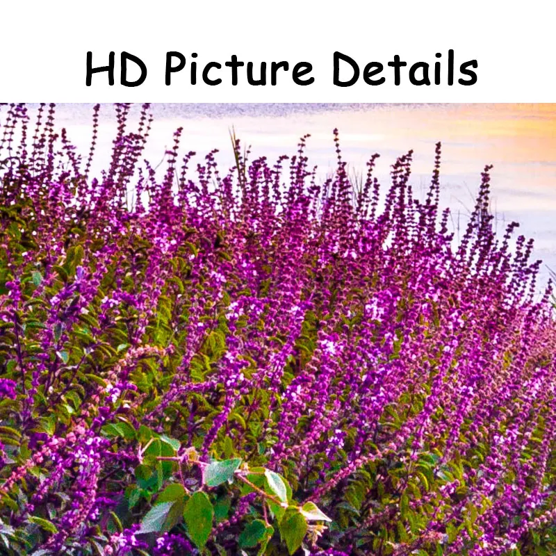 Modern Landscape Pictures Lavender Posters and Prints Purple Flower Canvas Painting for Living Room Home Decor Wall Art Cuadros