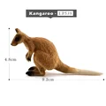 Canguro Pequeño