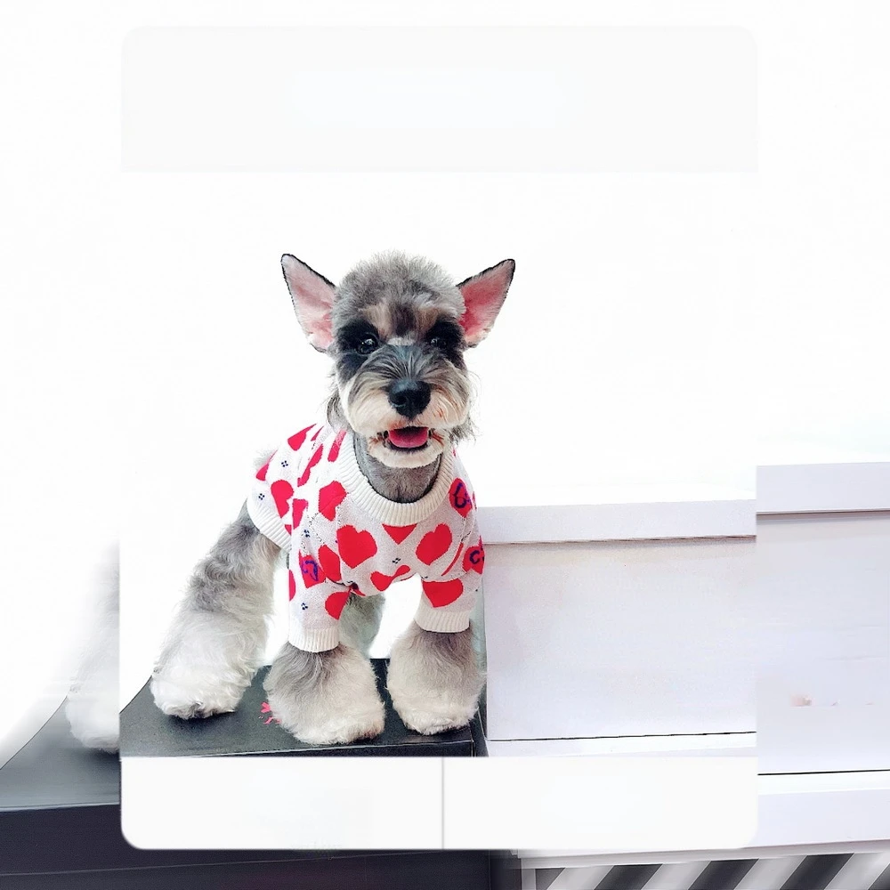 

Chenery Clothes for Dogs and Cats, Teddy, French Bulldog, Puppet Love, Small Pet Clothing, 2021 Fashion
