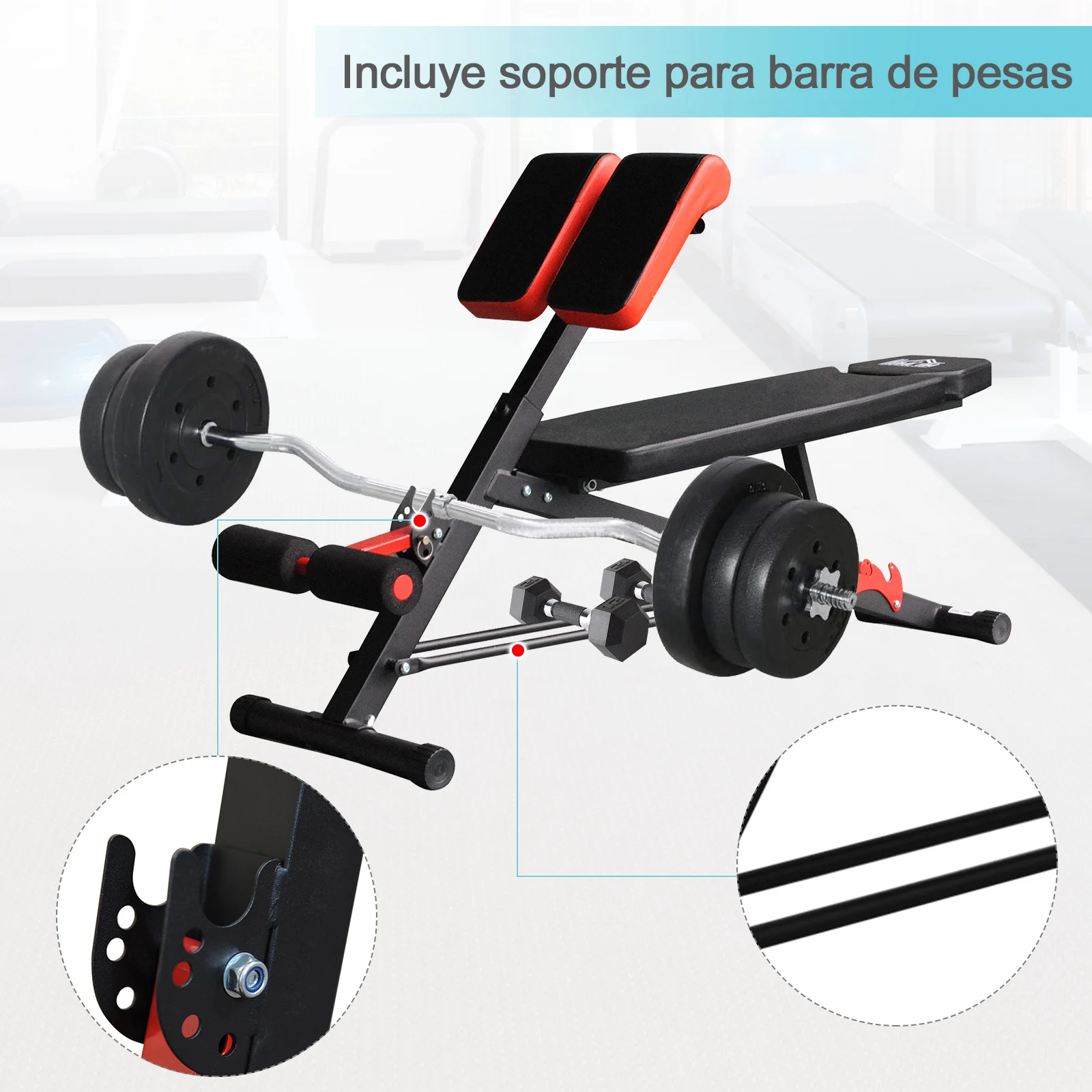 Imagen 5