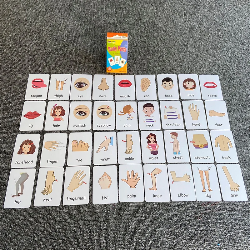 36pcs Children Cognition Cards Body Parts Animal Fruits Double Side Flashcards Montessori Baby Kids Early Educational Toys Gifts