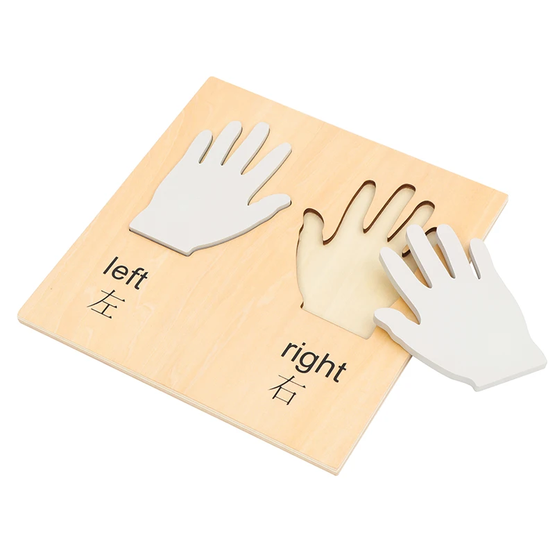 Montessori Materials Left and Right Hand Model Preparation Working for Writing Preschool Early Educational Equipment