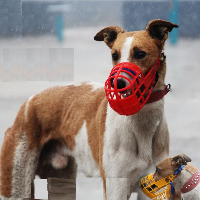 Bozal transpirable para perros grandes, cesta para dejar de morder, masticar, Galgo, Whippet, suministros