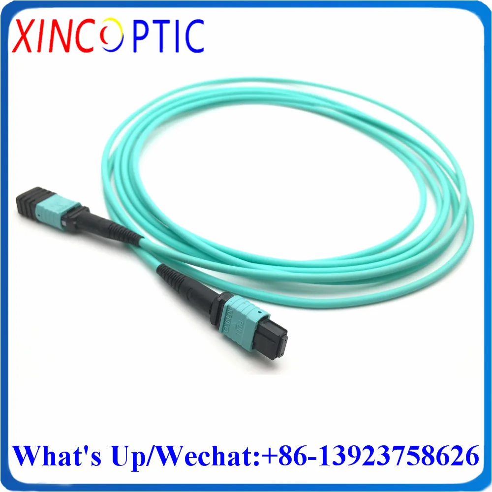 

MPO/F-MPO/F-OM3-12F-3.0-25M-LSZH MM OM3-300 UPC Female to F 25M 3.0mm LSZH Mini Aqua Round Cable Fiber Optic Patch Cord