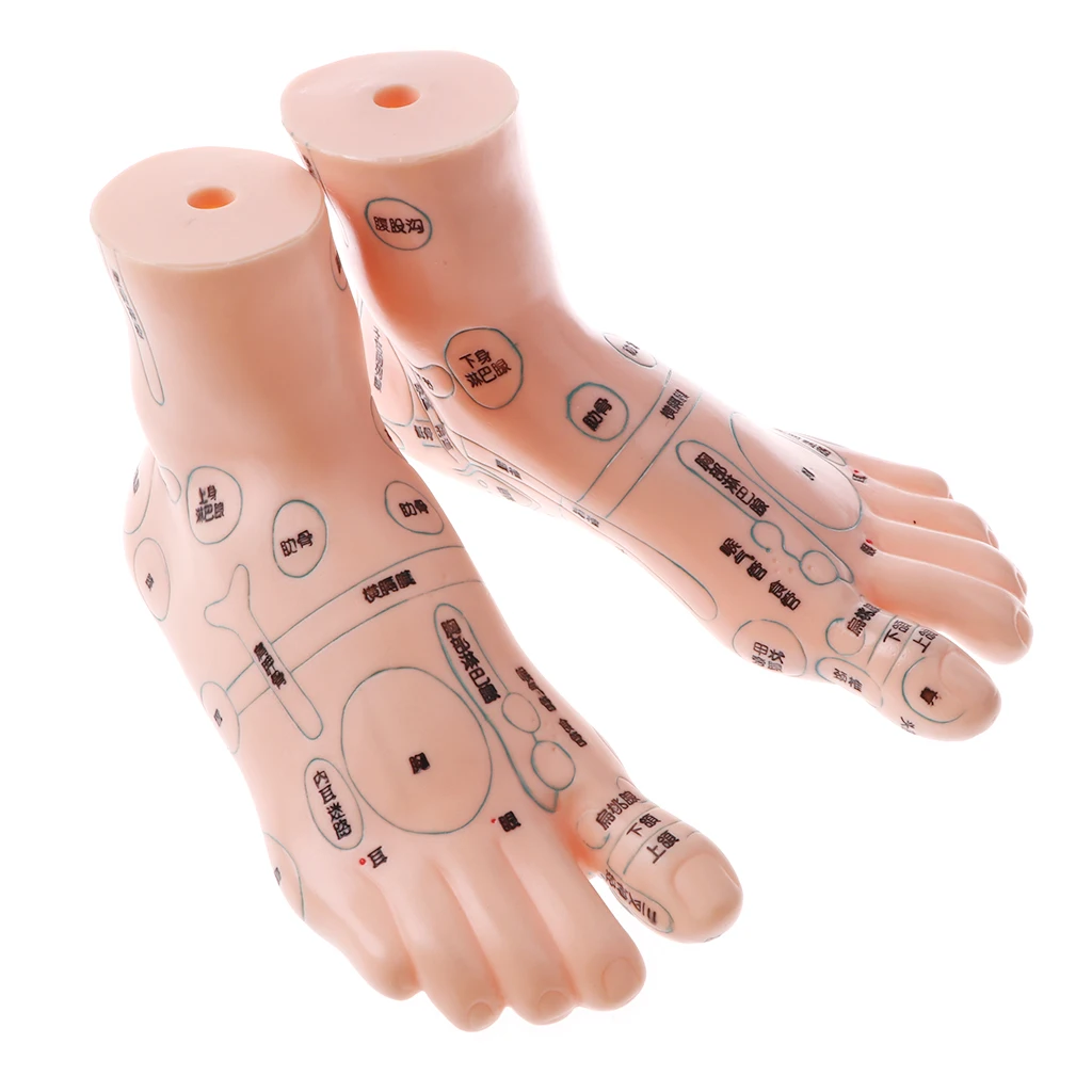 Set Of 2pcs Human Acupuncture Feet Reflexology Acupoint Model Lab Supplies