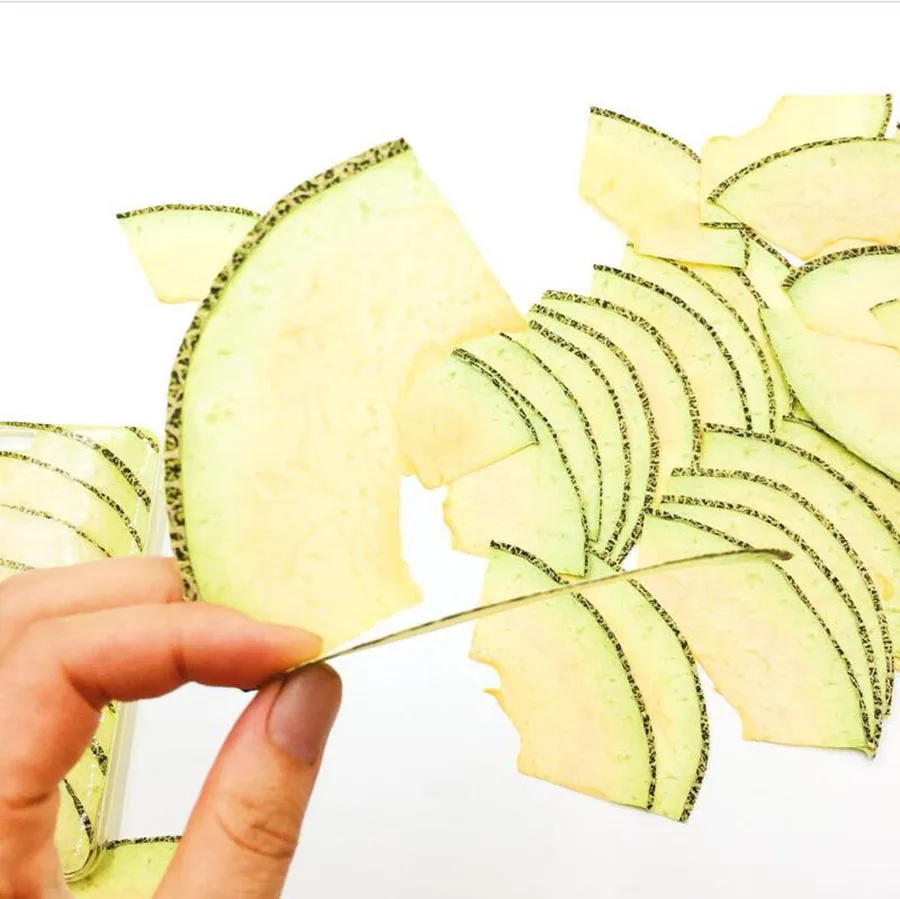 5pcs Dried Pressed Cantaloupe Slices Plant Herbarium For Exopy Jewelry Photo Frame Phone Case Bookmark Postcard Scrapbook DIY