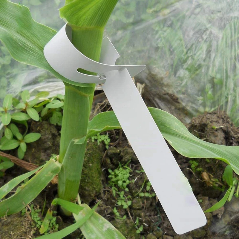 400 Pcs Kunststoff Pflanze Etiketten Wrap Um Baum Tags, einstellbare Kindergarten Garten Etiketten Anlage Tags mit Große Schreiben Oberfläche, Whit