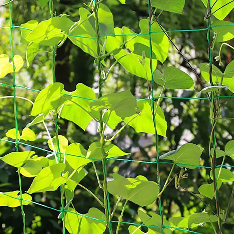 45/36/24 Strands of 10x10cm Cell Plant Climbing Net Garden plant Shelves Net Vegetable Flower Net Garden Weaving Grow Frame