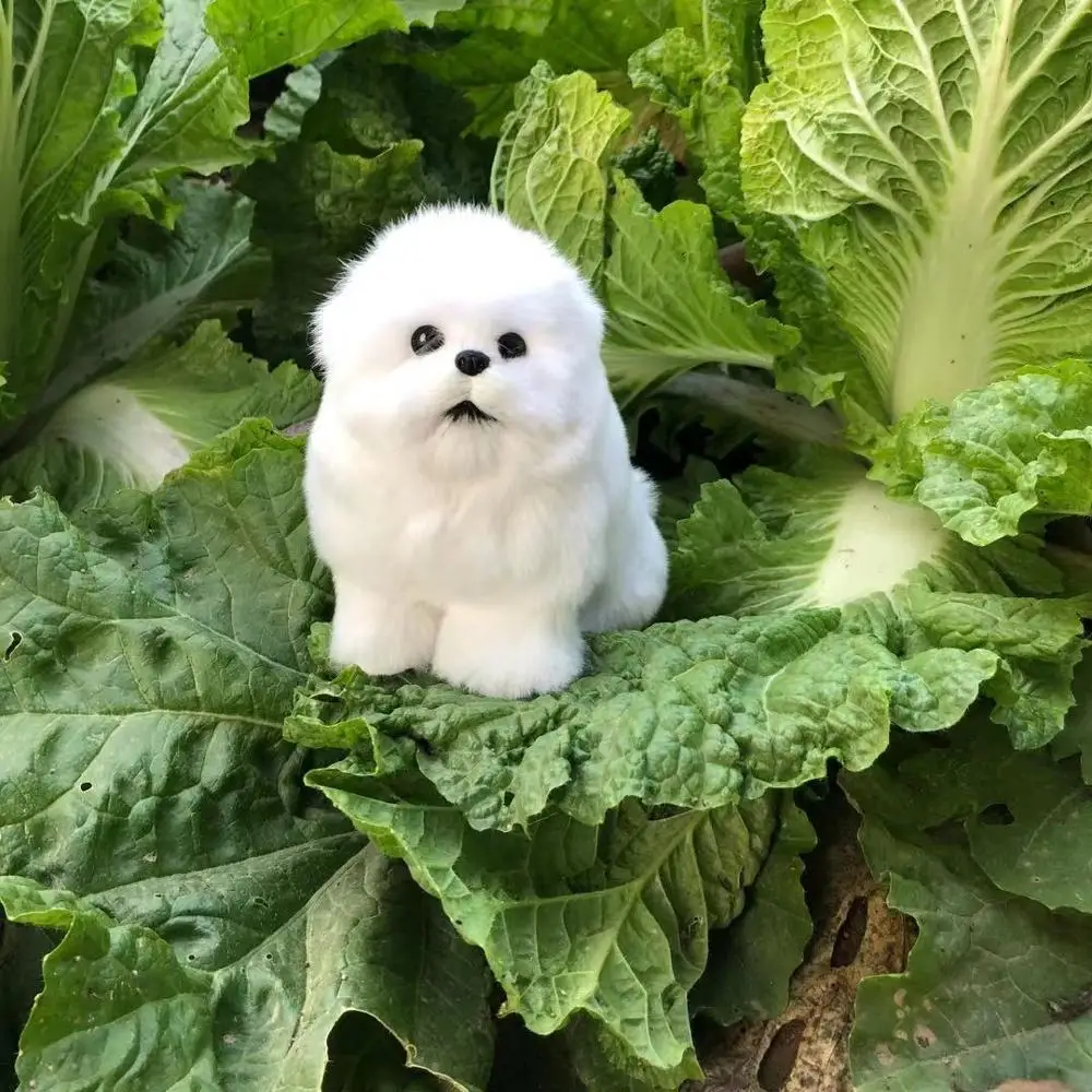 small cute real life sitting dog model plastic&furs white teddy dog gift about 15x14x11cm xf2709