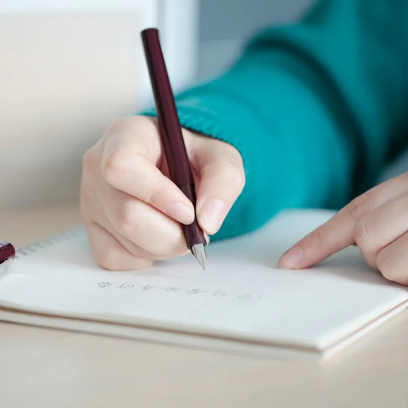 "Schneider-canetas tinteiro,