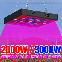 Fitolamp Full Spectrum Plant Light 2000W 3000W Quantum Board Growth Lights AC 220V Indoor Greenhouse Seedling Fito Lamp 2835 SMD