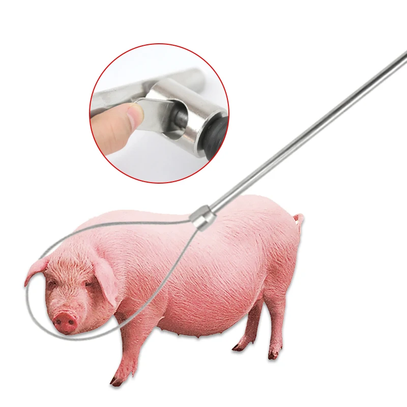 

T Type Stainless Steel Livestock Pigs Baording Device Contraction Rod Fixed Animal Husbandry Equipment