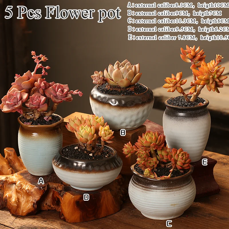 

Flower Pots Succulent Cactus Pots Plant Garden Ceramic Planter 5 Pcs Pots Outdoor Garden Home Decor windowsill