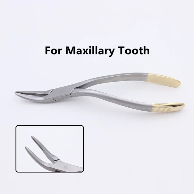 Dental Root Fragment Minimally Invasive Tooth Extraction Forcep Tooth Pliers Dental Instrument Curved Maxillary Mandibular Teeth