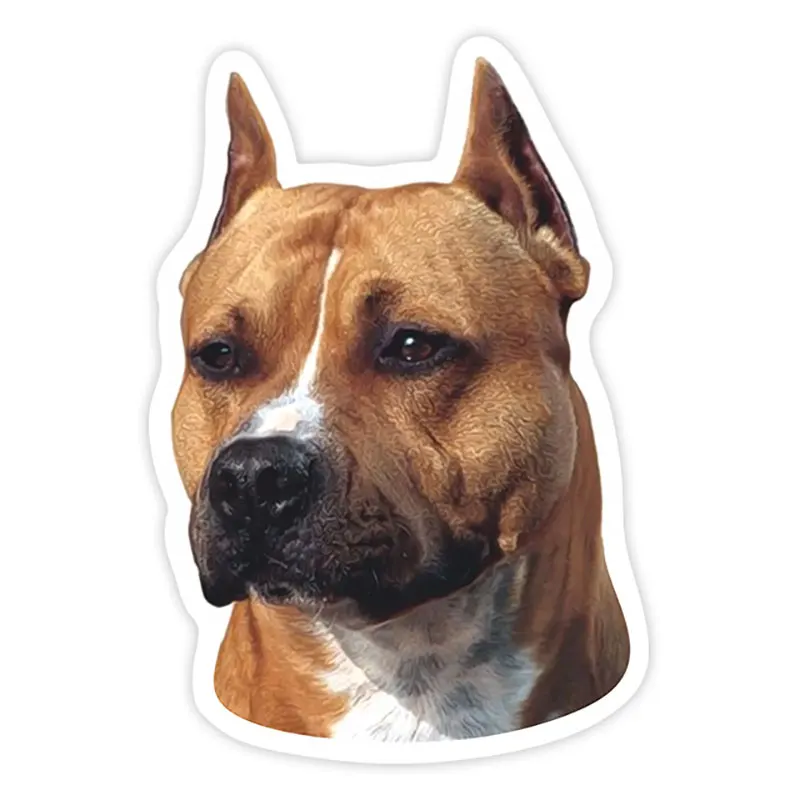 PVC-0094# Various Sizes Self-Adhesive American Staffordshire Terrier Decal Car Sticker Waterproof Auto Decors on Bumper Rear Win