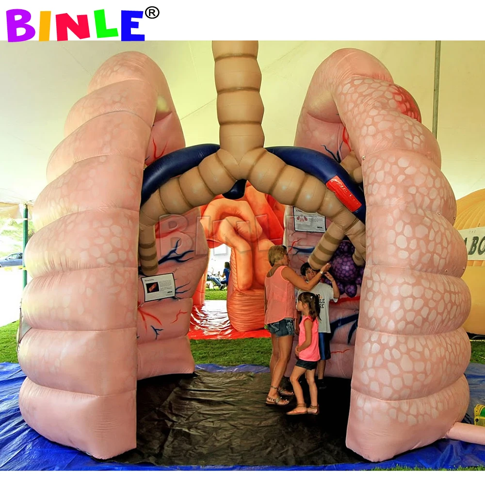 School Teaching Giant Inflatable Lung Model Medical Event Display Human Organs Balloon