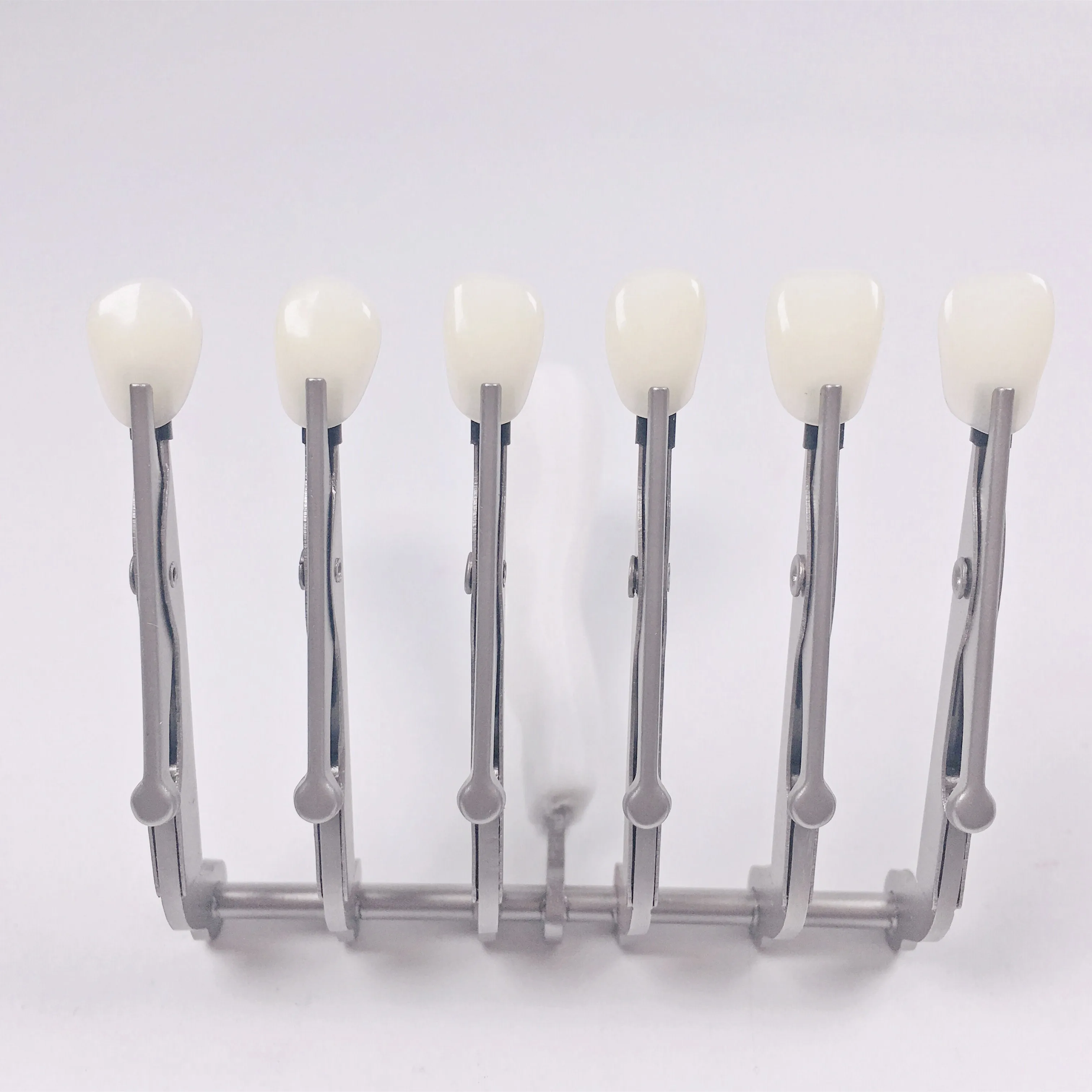 5PCS Dental Ergonomics Denture Holder Brush Enamel Glazing Handle NoHarm to Porcelain Temporary Crown Veneer Brushes