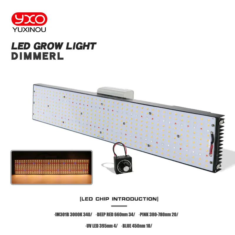 Tira de luz Led de espectro completo para cultivo de plantas, semillas de flores, LM301H, 240W, 480W, 720W, horticultura de interior