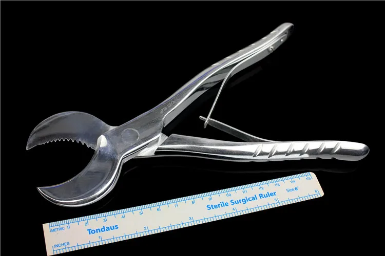 Jinzhong dental dental materials medical technician gypsum forceps super anhydrite scissors 304 stainless steel