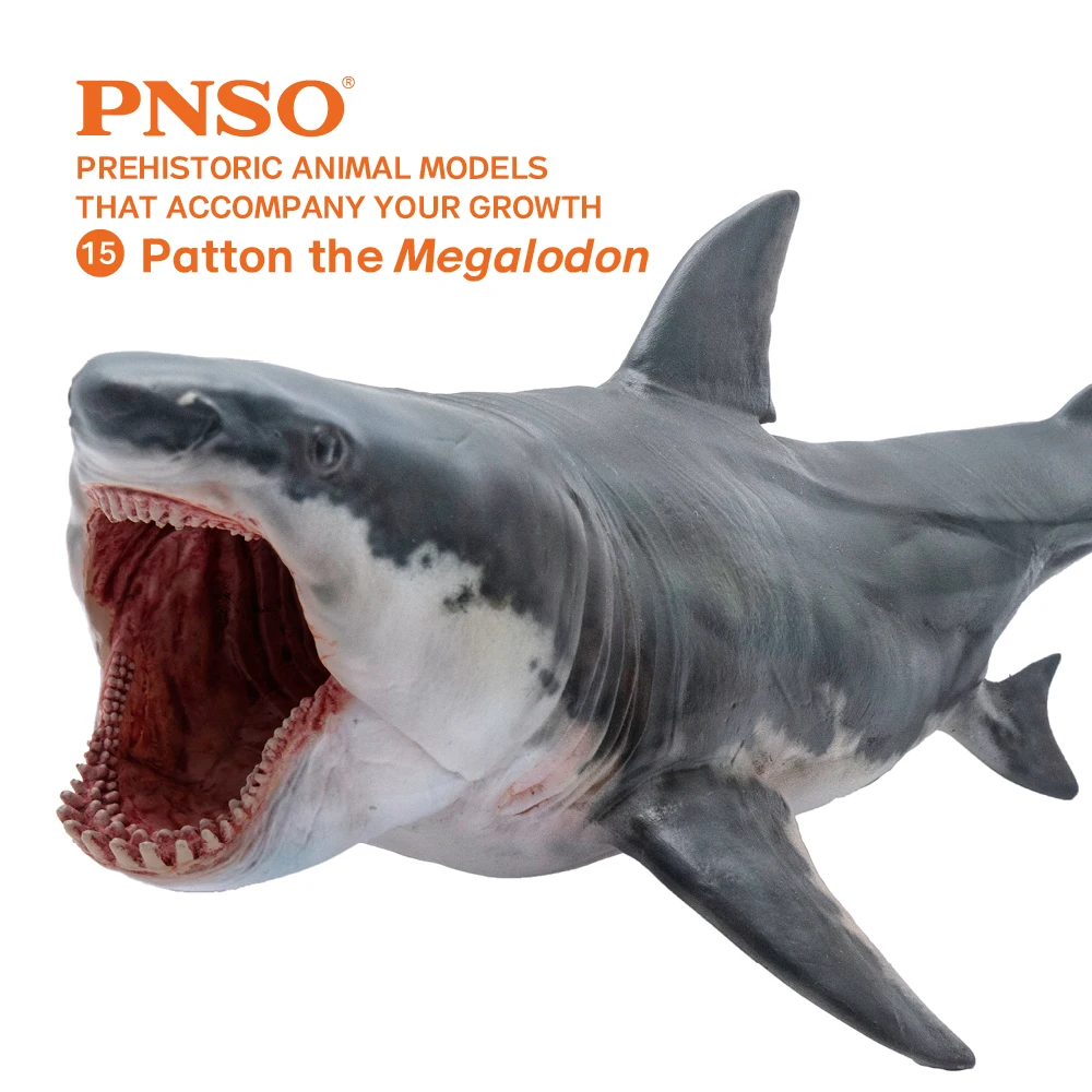 PNSO Prehistoric Animal Models: 15Patton The Megalodon (Big White Shark) 6.2\