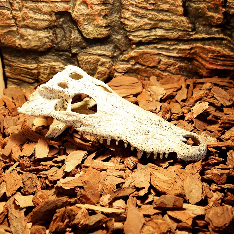 Crocodile dinosaur bone dodge house resin reptile habitat aquatic landscape simulation skull aquarium decoration