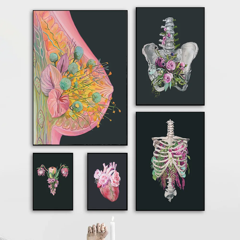 Anatomical Art Breast Heart Pelvis Thoracic Cage Uterus Canvas Painting Nordic Posters Wall Pictures For Doctor Office Decor