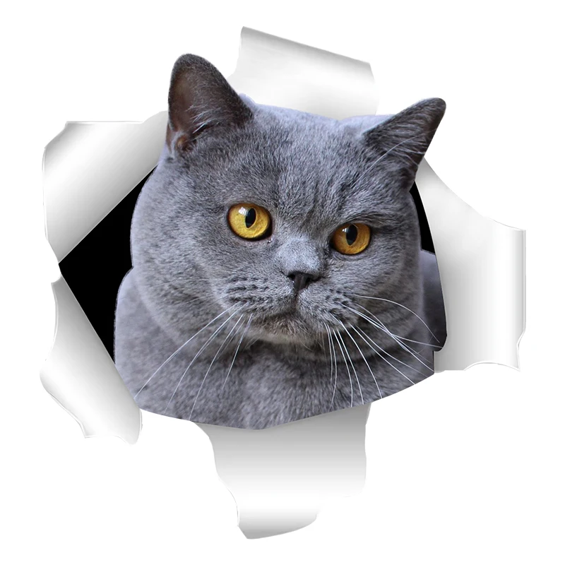 S50551 # vários tamanhos personalidade pvc decalque britânico shorthair gato etiqueta do carro à prova dwaterproof água na motocicleta portátil decorativo